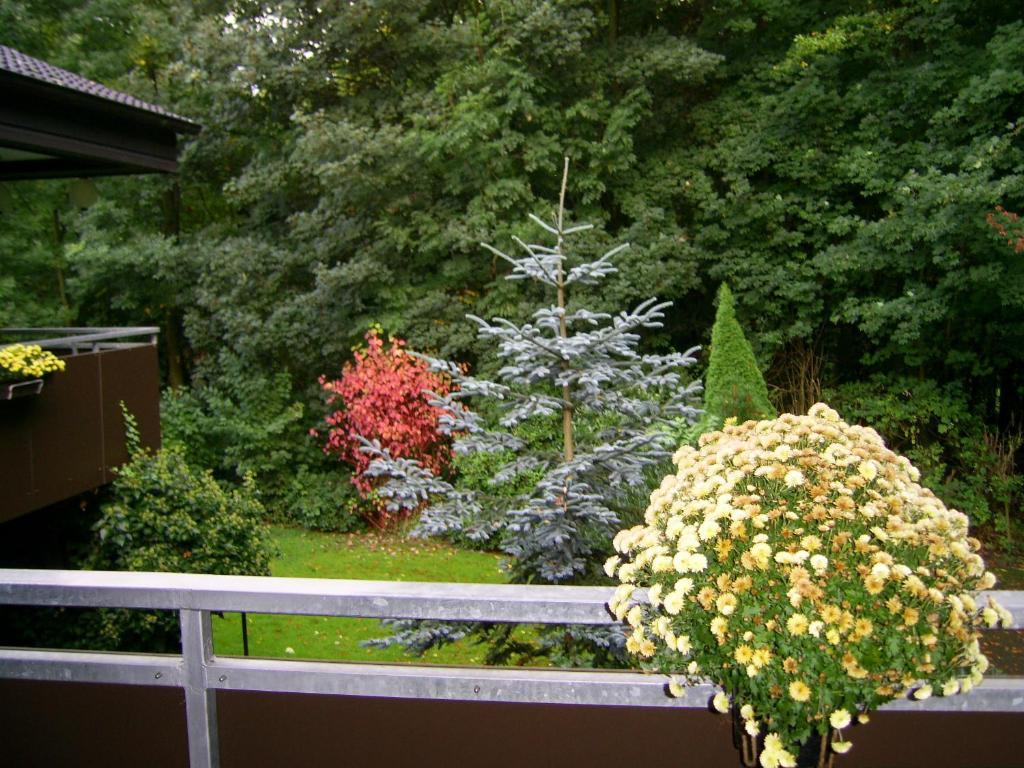 Waldpension Билефелд Екстериор снимка